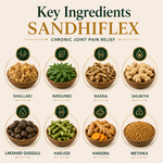 AyuKarma Sandhiflex – Ayurvedic Capsules for Chronic Joint Discomfort, Swelling & Cartilage Support (Ministry Of Ayush Approved)