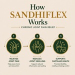 AyuKarma Sandhiflex – Ayurvedic Capsules for Chronic Joint Discomfort, Swelling & Cartilage Support (Ministry Of Ayush Approved)