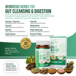 AyuKarma Gut Ease Capsules – Ayurvedic Constipation, Gut Cleansing & Digestion Support