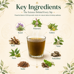 Karma Ayurveda KRM-Ren-Plus Ultra Kwath – Ayurvedic Kidney Detox & Creatinine Support Kit