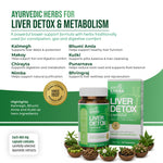 AyuKarma Liver Detox – Ayurvedic Supplement for Liver Detox, High Cholesterol, Fatty Liver & Digestive Wellness (Ministry of Ayush Approved)