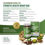 AyuKarma Muscle Magic Capsules – Ayurvedic Weight Gain, Muscle Growth & Strength Support