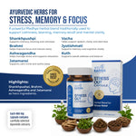 AyuKarma Stressout Capsules – Ayurvedic Stress Relief, Memory, Focus & Calm Mind Support